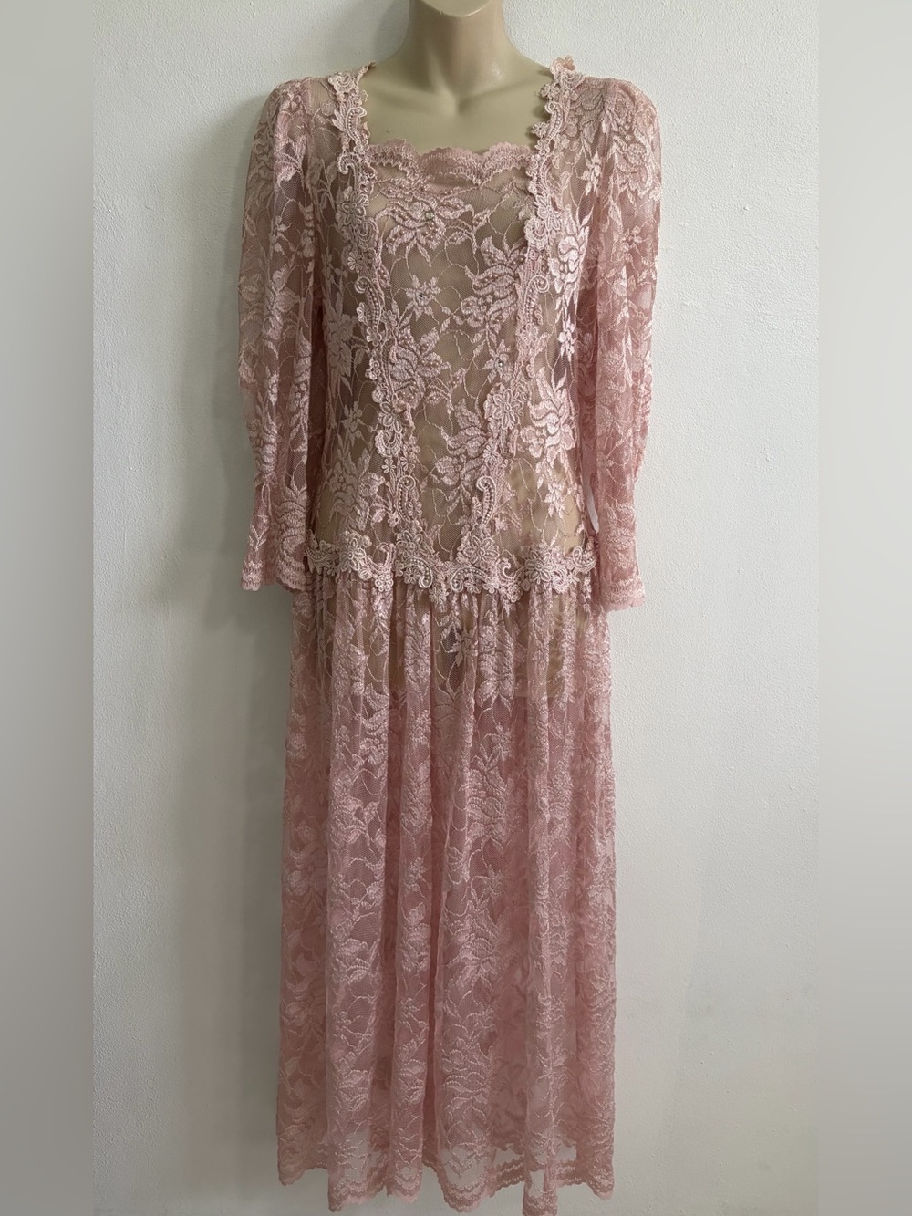 Pink Lace Dress Long Sleeve Drop Waist Maxi Medium Sheer Floral